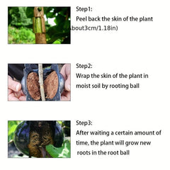 Reusable Plant Root Growth Ball for Successful Grafting