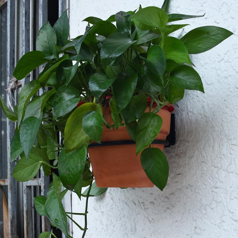 Elegant Wall Mounted Flower Pot Holder