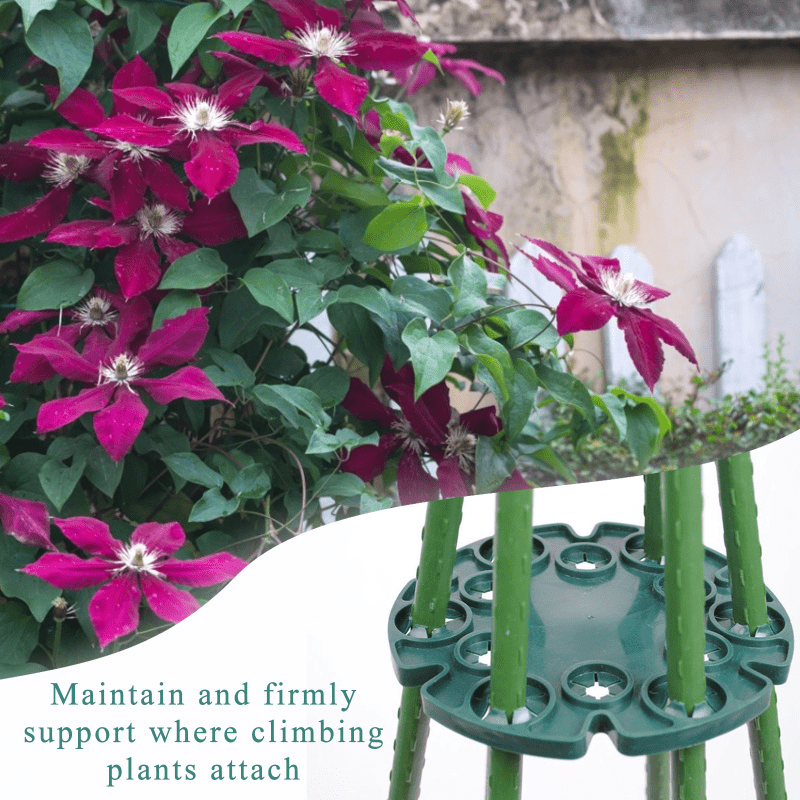 Plant Support & Protection Kit for Outdoor Gardening
