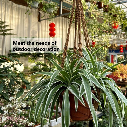 2pcs Macrame Plant Hanger Rope Indoor Brown Holder for 4-15cm Plant Pots