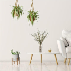 2pcs Macrame Plant Hanger Rope Indoor Brown Holder for 4-15cm Plant Pots