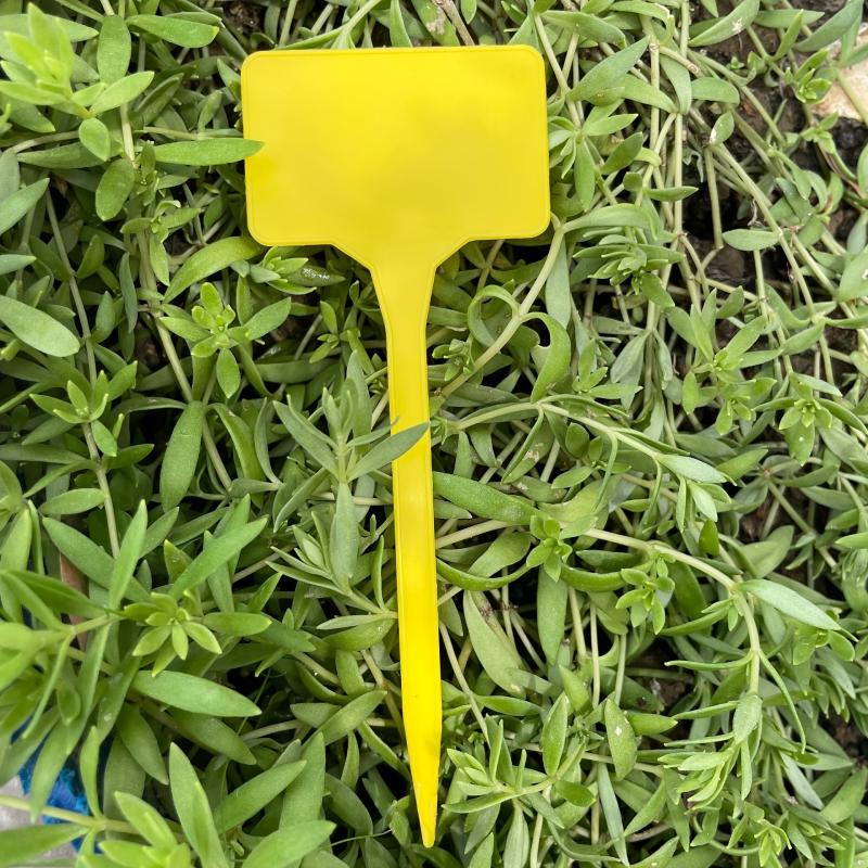 20pcs Gardening Labels T Shaped Waterproof Plastic Plant Tag Seed Marker