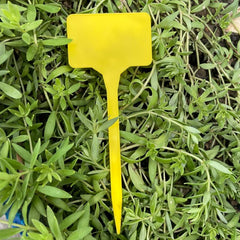 20pcs Gardening Labels T Shaped Waterproof Plastic Plant Tag Seed Marker