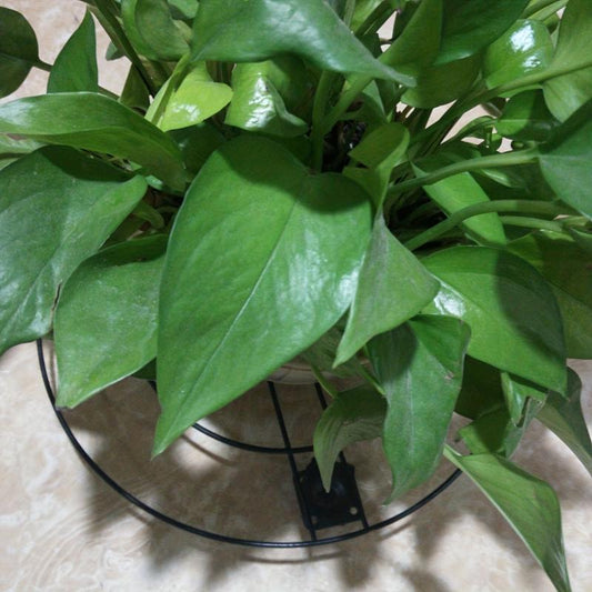 Flower Pot Base With Pulley Balcony Flower Pot Bottom Plate Roller