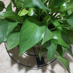 Flower Pot Base With Pulley Balcony Flower Pot Bottom Plate Roller