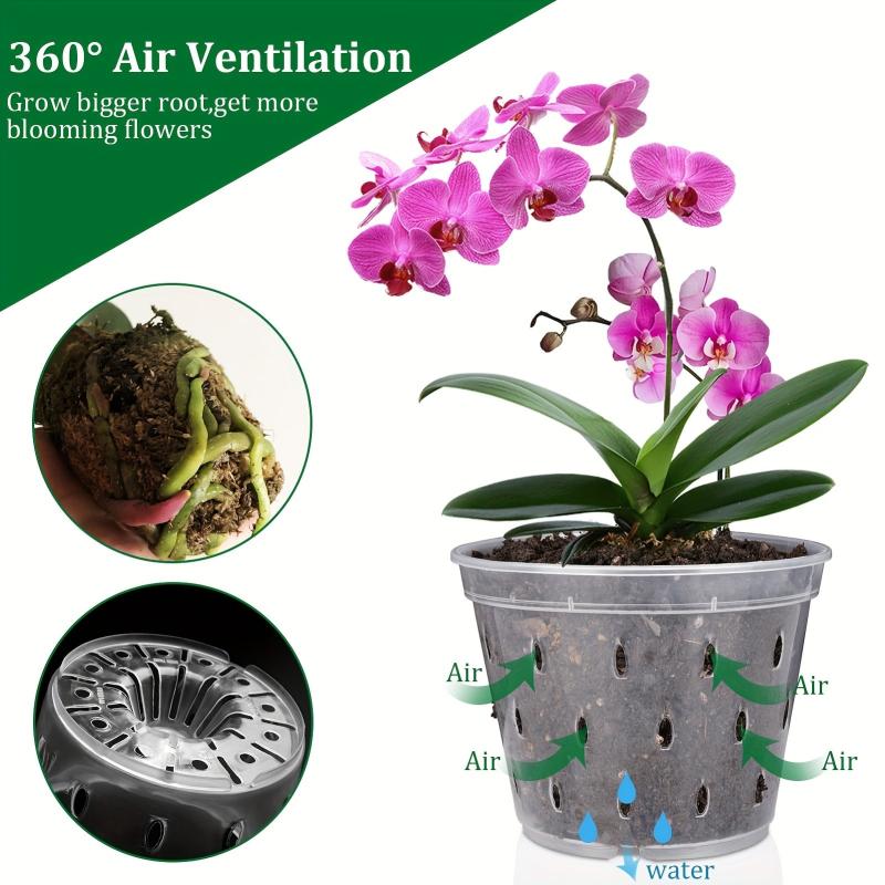 5-Pack 16.51 cm Clear Plastic Orchid Pot with Saucers
