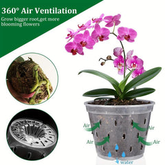 5-Pack 16.51 cm Clear Plastic Orchid Pot with Saucers
