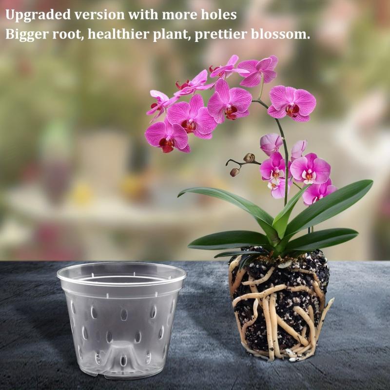 5-Pack 16.51 cm Clear Plastic Orchid Pot with Saucers