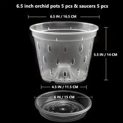 5-Pack 16.51 cm Clear Plastic Orchid Pot with Saucers