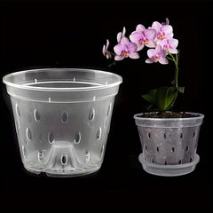 5-Pack 16.51 cm Clear Plastic Orchid Pot with Saucers