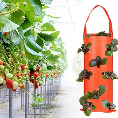 1pc Hanging Planting Bag for Delicious Outdoor Strawberries