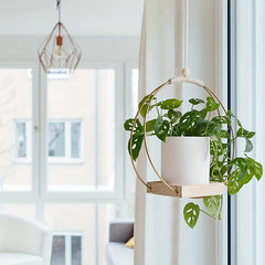 Iron Ring Flower Wreath Wall Hanging Flower Pot