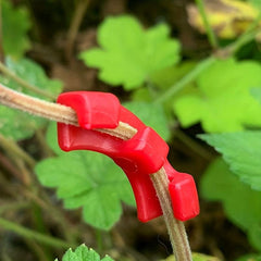 10pcs Low Pressure Training Plant Trainer LST Replacement Plant Lattice