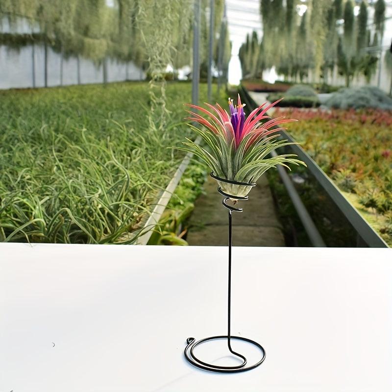3pcs Tall Spiral Flower Stand Metal Air Plant Holders