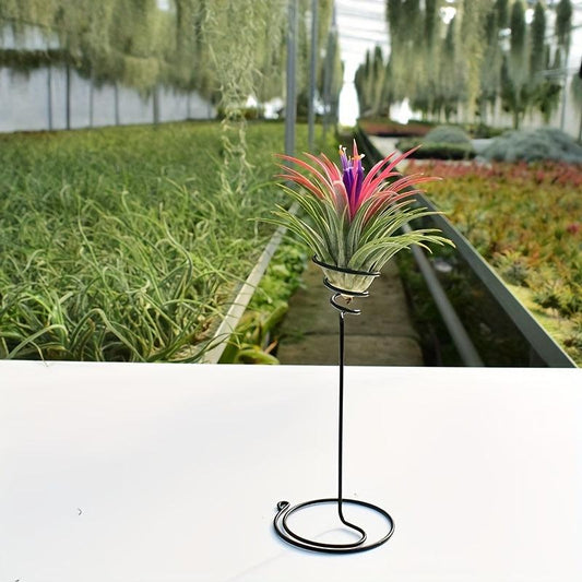 3pcs Tall Spiral Flower Stand Metal Air Plant Holders