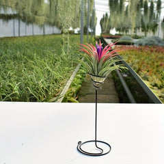 3pcs Tall Spiral Flower Stand Metal Air Plant Holders