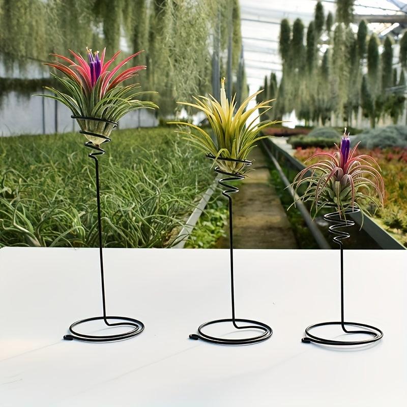 3pcs Tall Spiral Flower Stand Metal Air Plant Holders