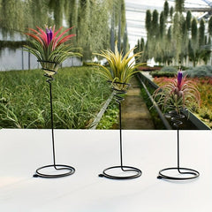 3pcs Tall Spiral Flower Stand Metal Air Plant Holders