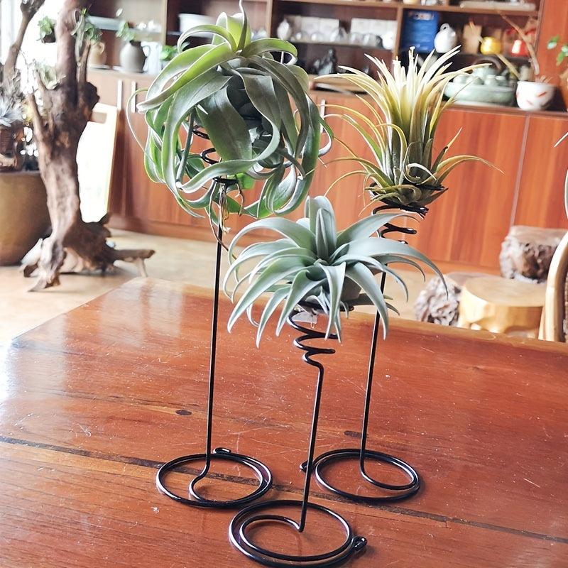 3pcs Tall Spiral Flower Stand Metal Air Plant Holders