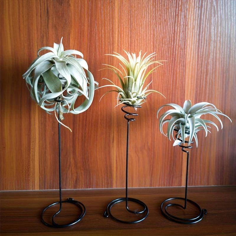 3pcs Tall Spiral Flower Stand Metal Air Plant Holders