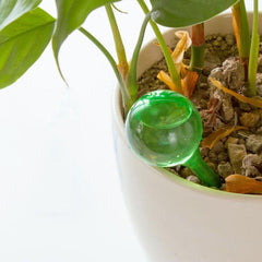 5pcs Garden Watering Globes Automatic Watering Bulb System
