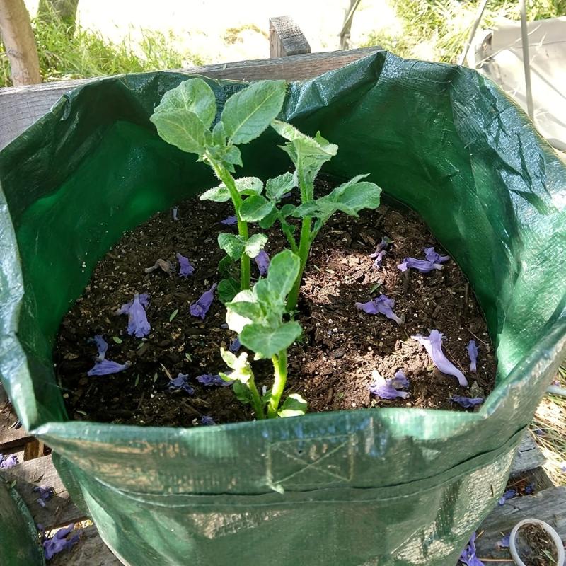 2pcs 10 Gallon Potato Grow Bags with Flap and Handles - Green