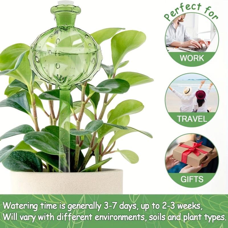 3pcs Cactus Self Watering Planter Insert Glass Plant Watering Globes