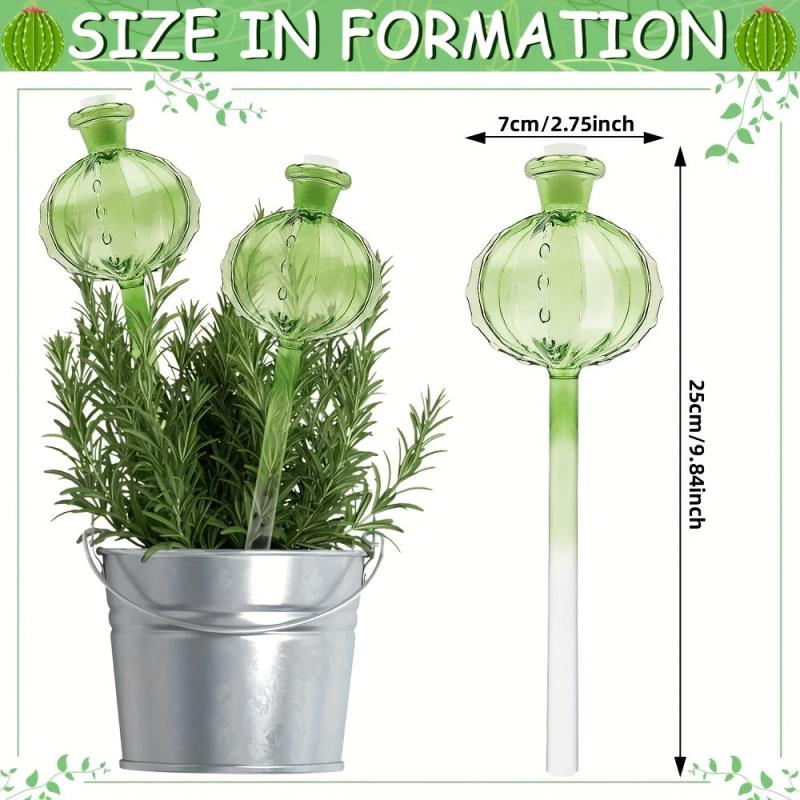 3pcs Cactus Self Watering Planter Insert Glass Plant Watering Globes