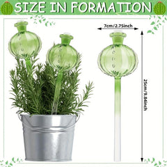 3pcs Cactus Self Watering Planter Insert Glass Plant Watering Globes