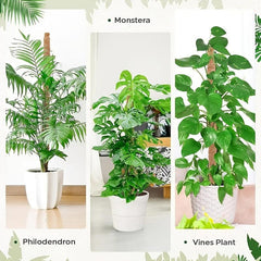 Deformable Plant Climbing Frame - Bendable Plant Stick Holder
