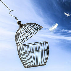 Hanging Chain for Bird Feeders, Birdbaths, Planters, Lanterns