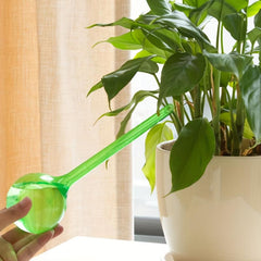 Automatic Watering Device for Vibrant Garden Plants & Flowers