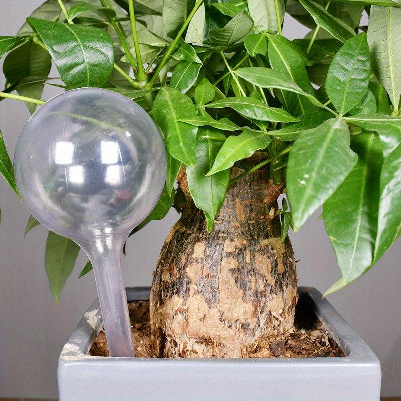 Automatic Watering Device for Vibrant Garden Plants & Flowers