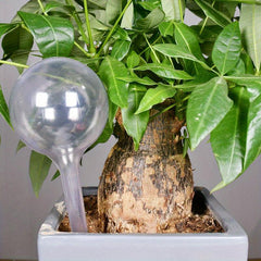Automatic Watering Device for Vibrant Garden Plants & Flowers
