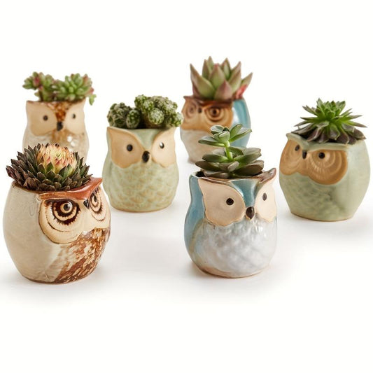 6pcs Owl Pot Ceramic Succulent Plant Cactus Flower Container Planter