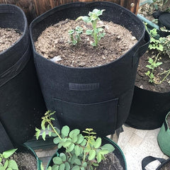 5-10 Gallon Potato Planting Bags - Vegetable Growing Bags