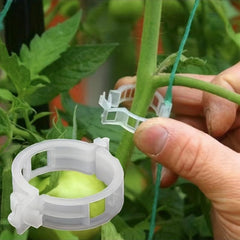 Plastic Plant Clips Supports for Vegetable Tomato Gardening