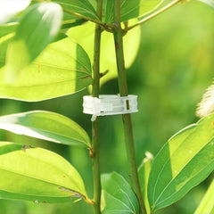Plastic Plant Clips Supports for Vegetable Tomato Gardening