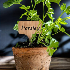 20 Bamboo Plant Labels Durable & Attractive Garden Labeling