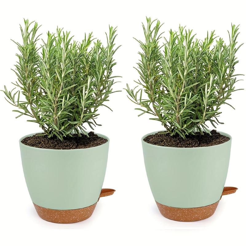 2 Self Watering Pots for Indoor Plants 20-32cm - Modern African Violet Pots