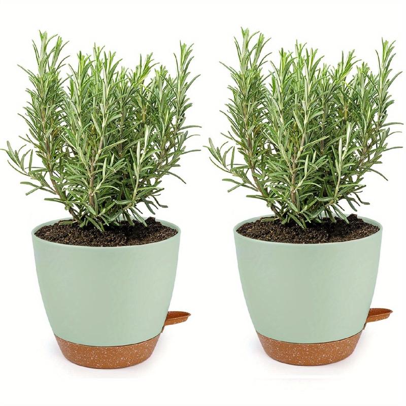 2 Self Watering Pots for Indoor Plants 20-32cm - Modern African Violet Pots