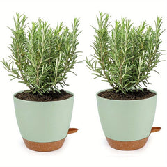 2 Self Watering Pots for Indoor Plants 20-32cm - Modern African Violet Pots