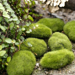 1Pc Fairy Garden Stone Moss Micro Landscape Bonsai DIY Decor Ornament