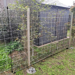 DIY Plant Support Net for Climbing Plant 5-15ft