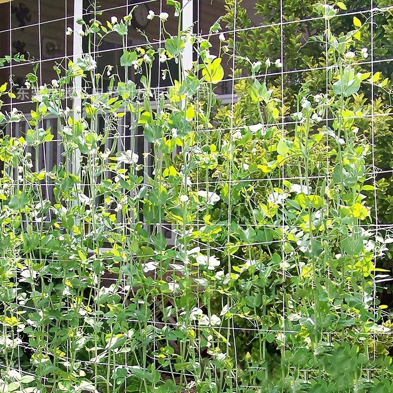 DIY Plant Support Net for Climbing Plant 5-15ft
