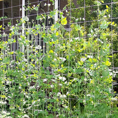 DIY Plant Support Net for Climbing Plant 5-15ft