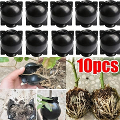 10pcs Reusable Plant Root Growing Box Cutting Grafting Rooting Ball