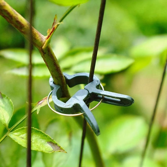 20pcs Plant Climbing Wall Fixer Leaf Type Vine Buckle Hook Rattan Clamp Fixator