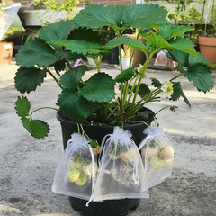 20pcs Garden Mesh Bags for Pest & Bird Protection