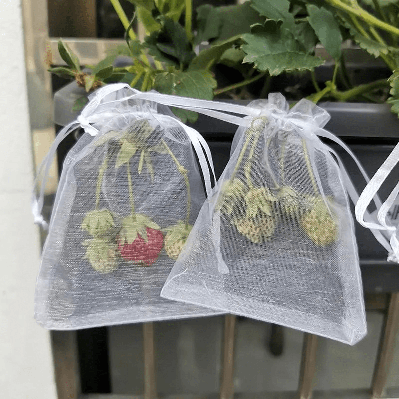 20pcs Garden Mesh Bags for Pest & Bird Protection